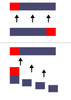 일반적인 전투의 양상과 사선대형의 차이